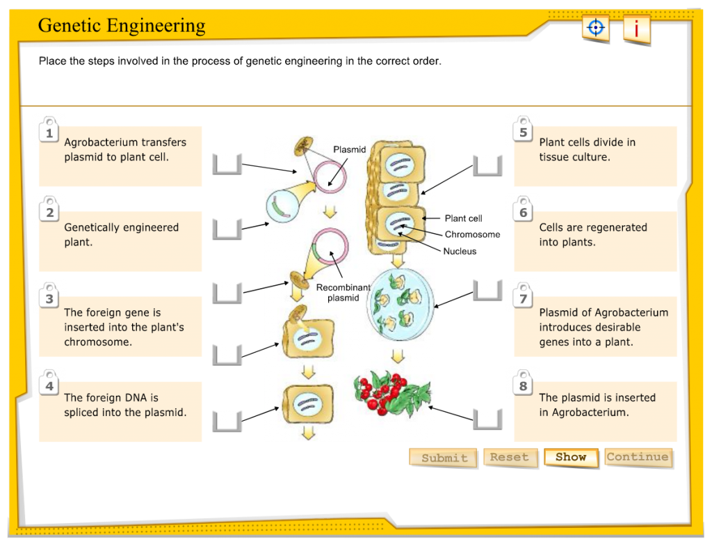 visualizingenvscienceinteractivegraphicberg WileyPLUS