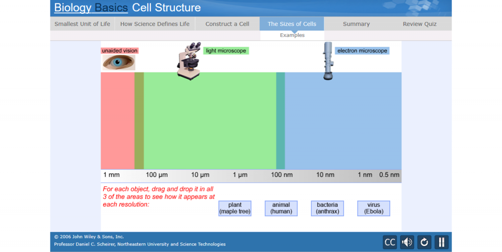 Pro Bio Animation bio-animations | WileyPLUS