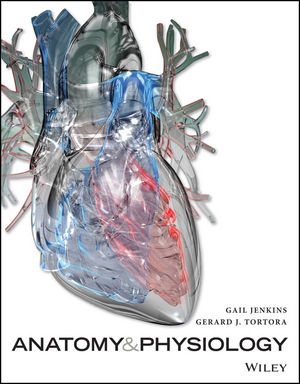 Anatomy & Physiology, 1st Edition