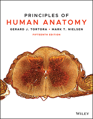Principles of Human Anatomy, 15th Edition - WileyPLUS Principles of Human Anatomy, 15th Edition - WileyPLUS